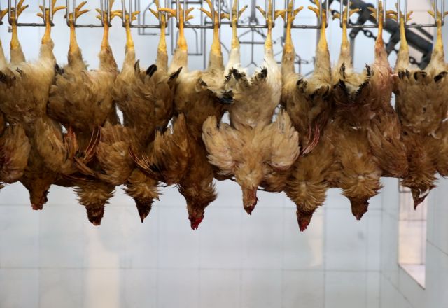 Σύσταση για επισκέπτες στην Κίνα που εμφανίζουν αναπνευστικά συμπτώματα